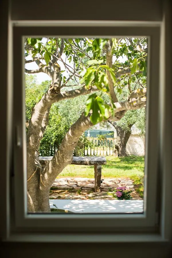 Holiday House Villa Skrila Fazana Croatia